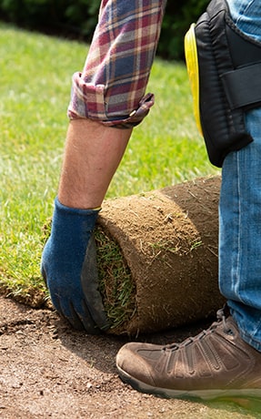 new_lawn_installation