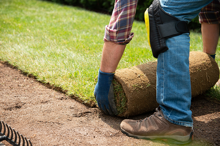 new_lawn_installation